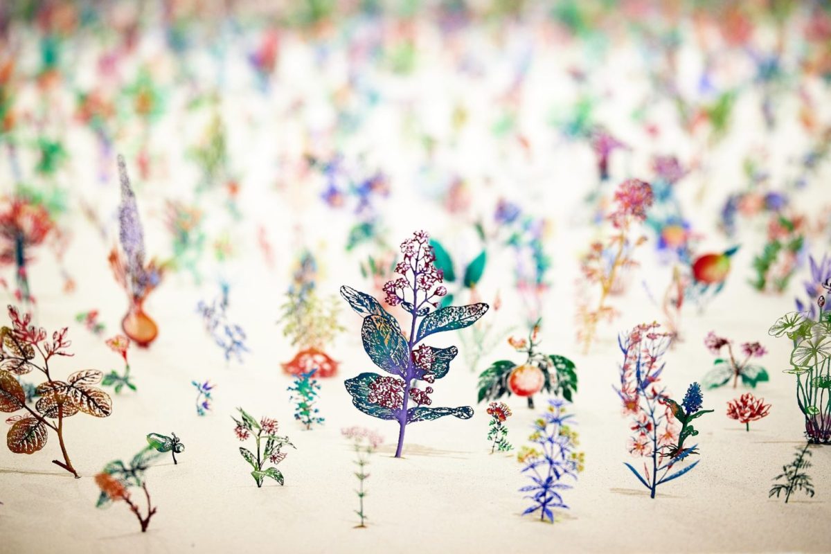 "Blackfield" by Zadok Ben-David