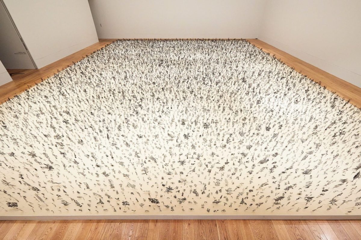 "Blackfield" by Zadok Ben-David