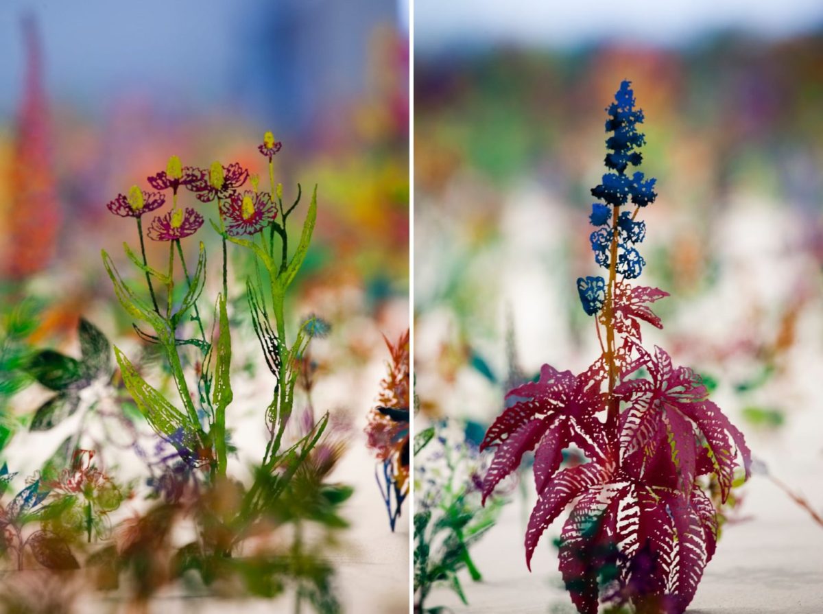 "Blackfield" by Zadok Ben-David