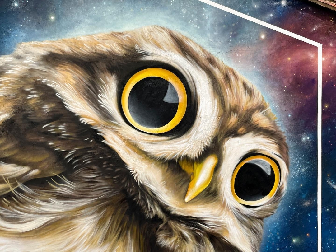 J.M. Brea @ Villar del Pedroso, Spain