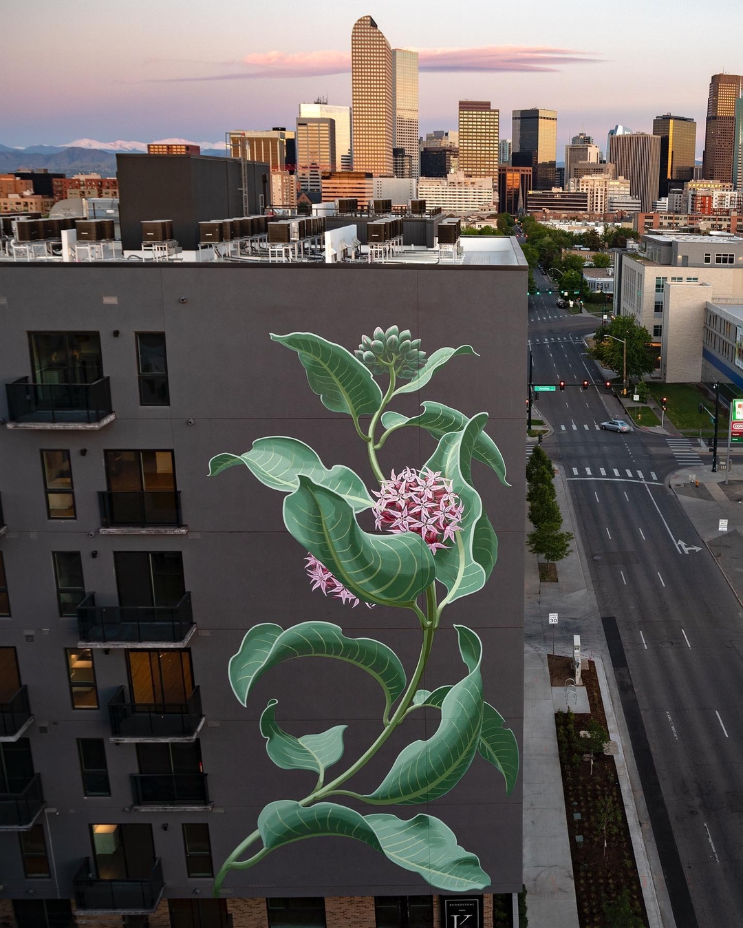 Mona Caron @ Denver, Colorado, USA