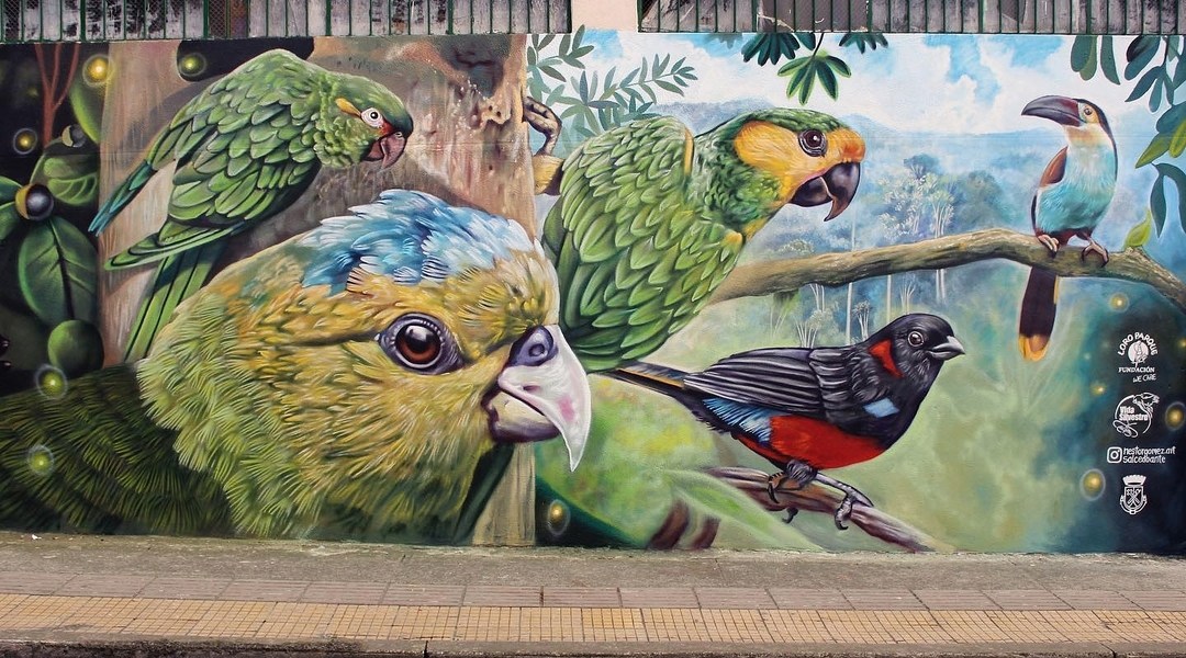 Nauta + Juan Salcedo Ante @ Santa Rosa Cabal, Colombia