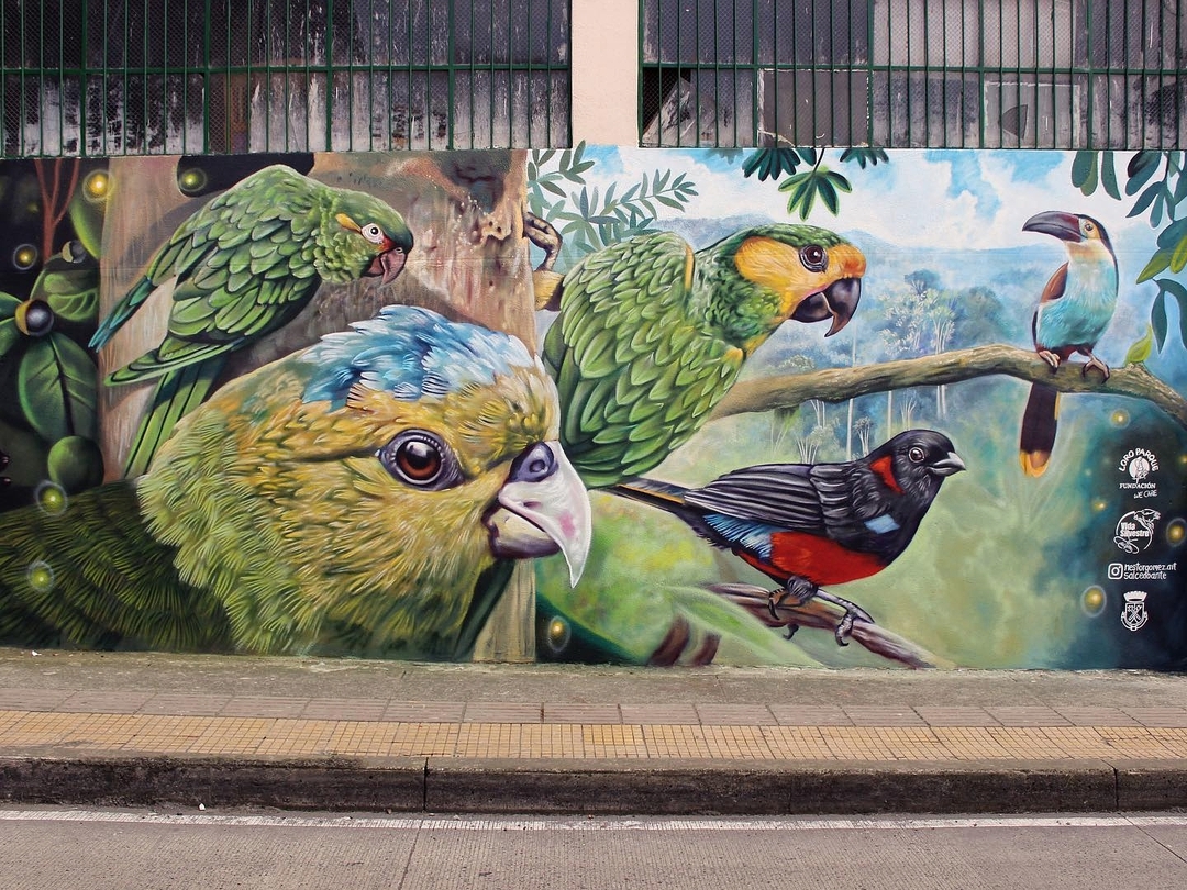 Nauta + Juan Salcedo Ante @ Santa Rosa Cabal, Colombia