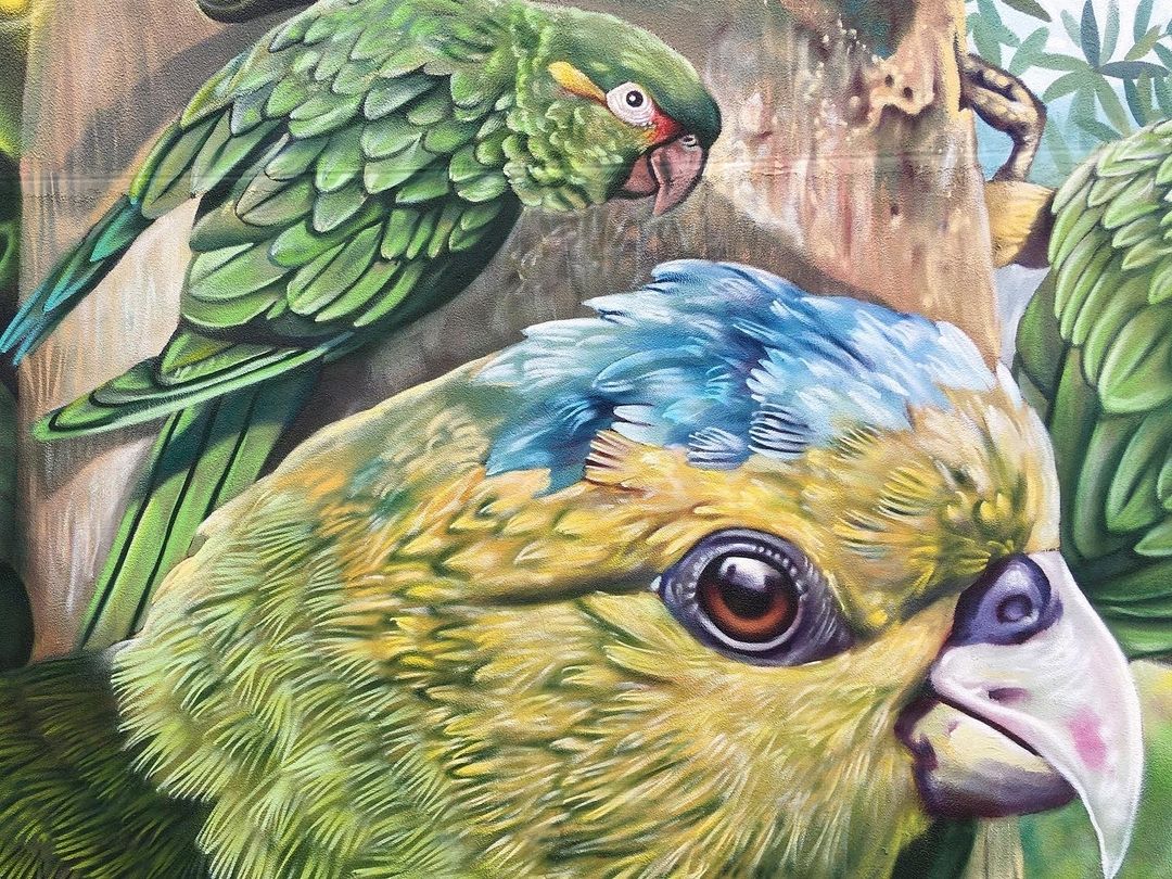 Nauta + Juan Salcedo Ante @ Santa Rosa Cabal, Colombia