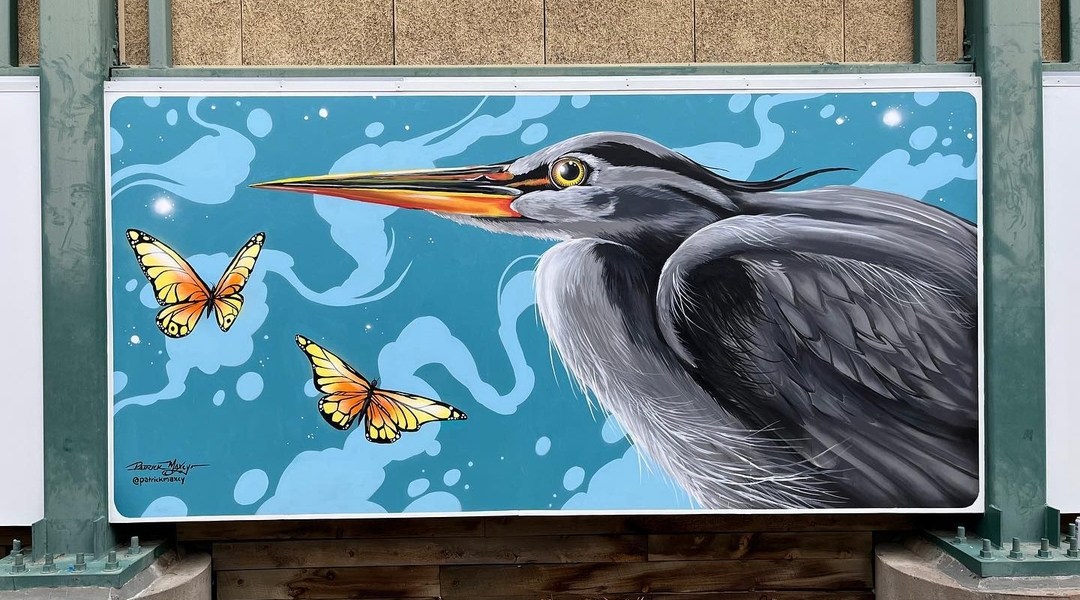 Patrick Maxcy @ Denver, Colorado, USA