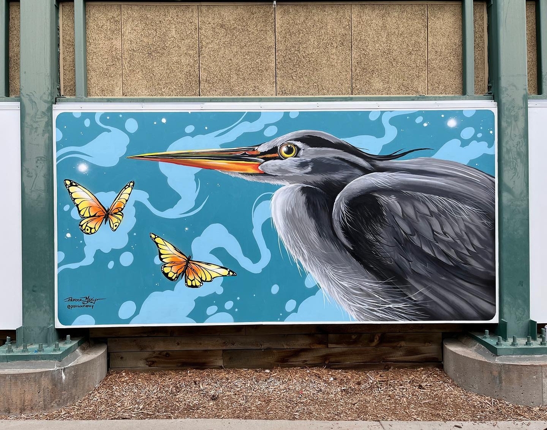 Patrick Maxcy @ Denver, Colorado, USA Patrick Maxcy @ Denver, Colorado, USA