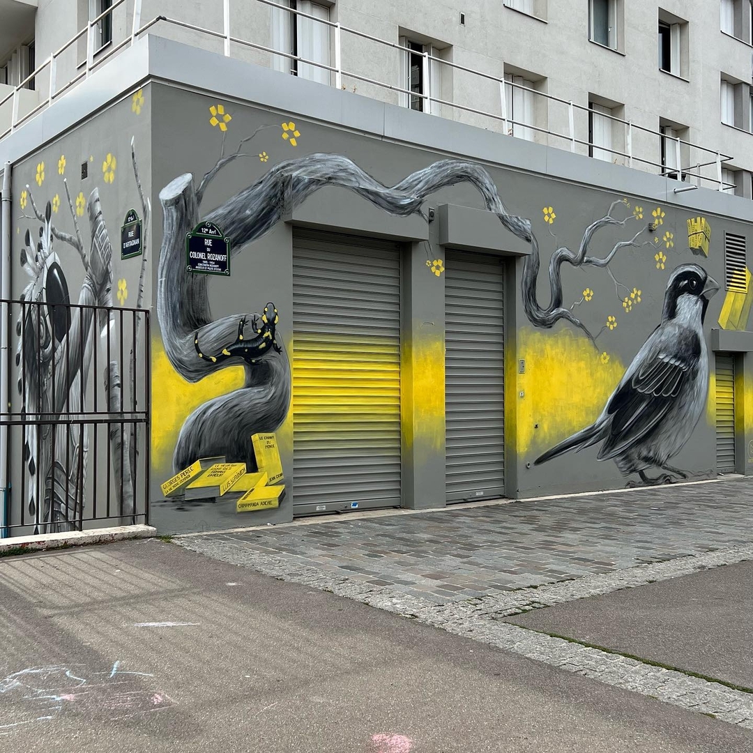 Ruben Carrasco @ Paris, France