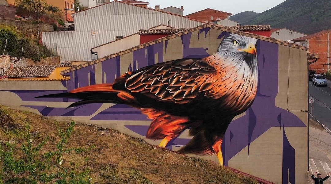 Sake Ieneka @ Navezuelas, Spain