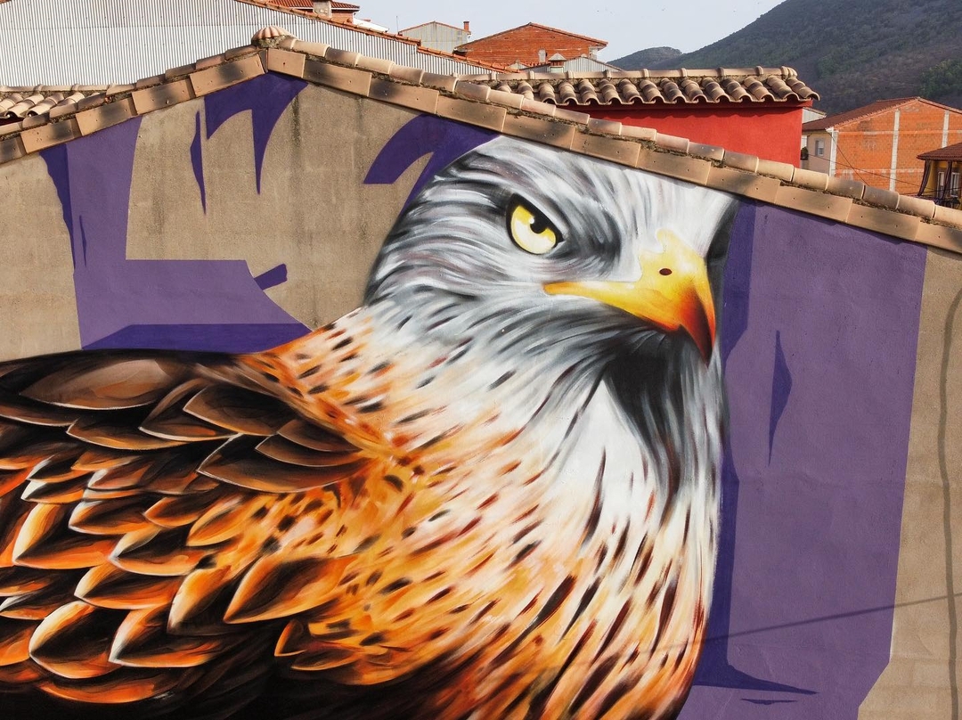 Sake Ieneka @ Navezuelas, Spain