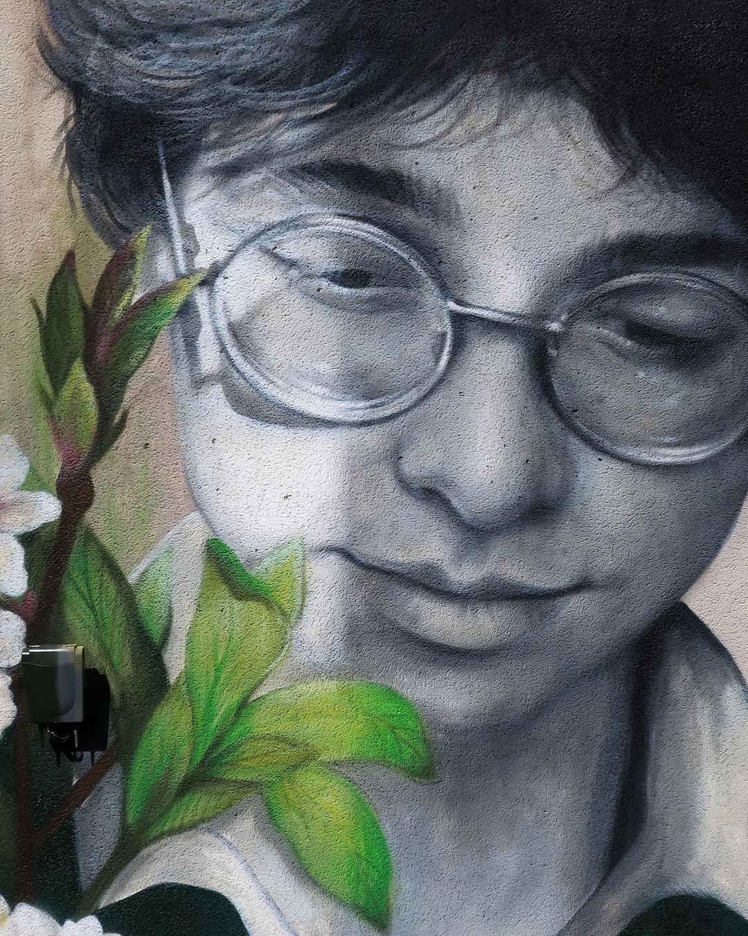 Zabou @ Saumur, France