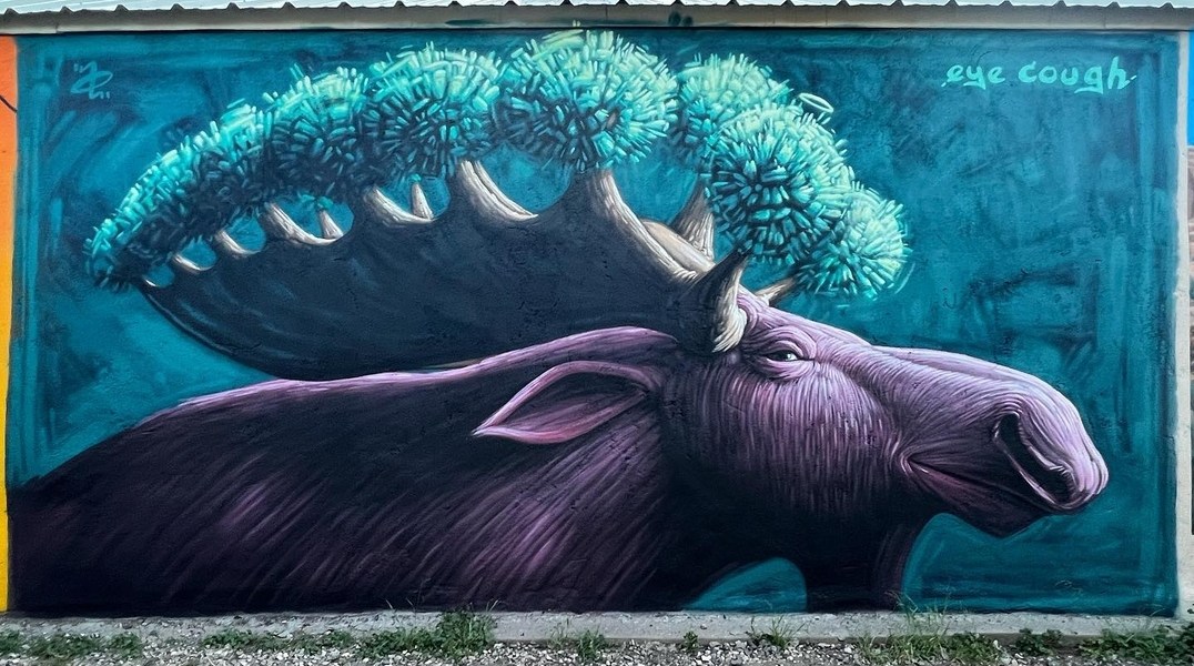 Alex Eickhoff @ Walsenburg, Colorado, USA