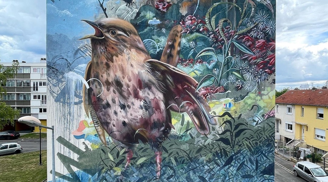 Collin van der Sluijs @ Laon, France