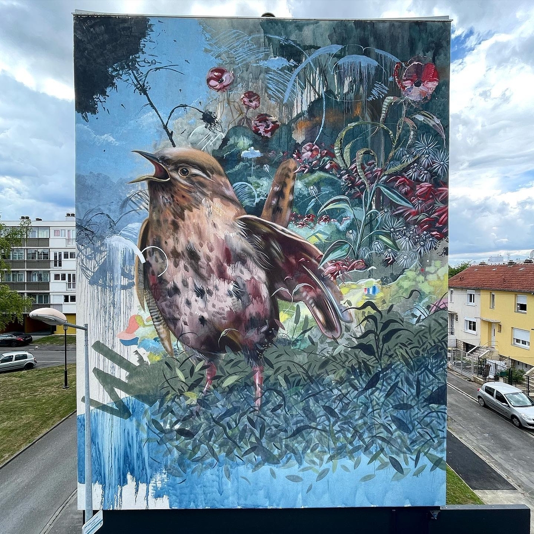 Collin van der Sluijs @ Laon, France