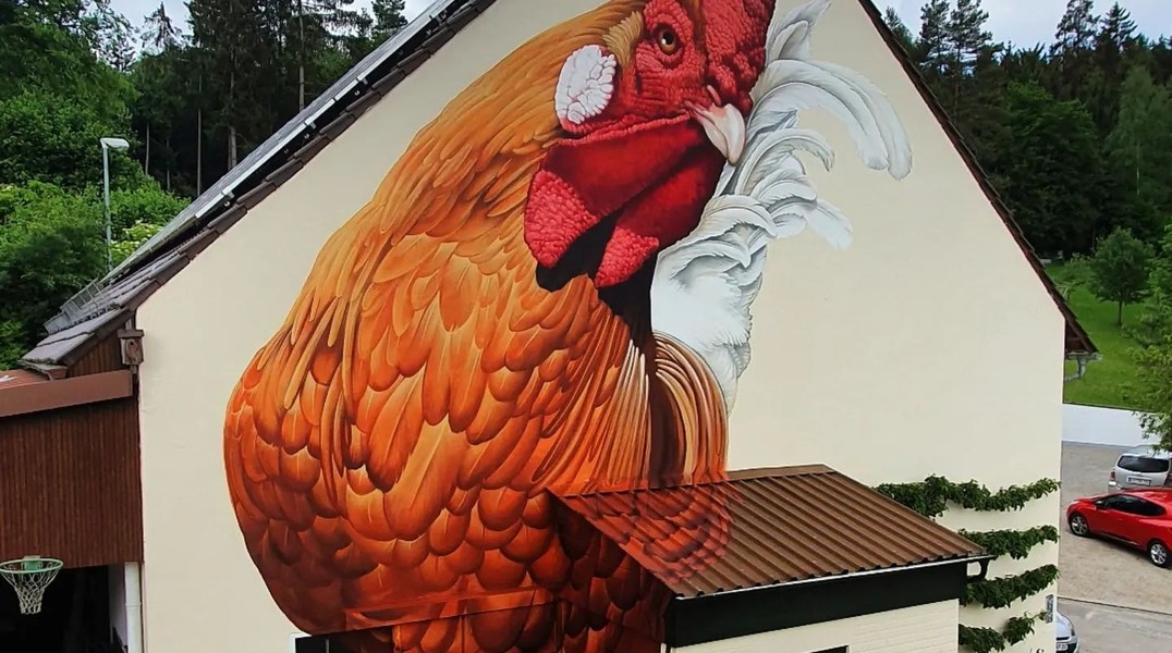 Matthias Mross @ Germany