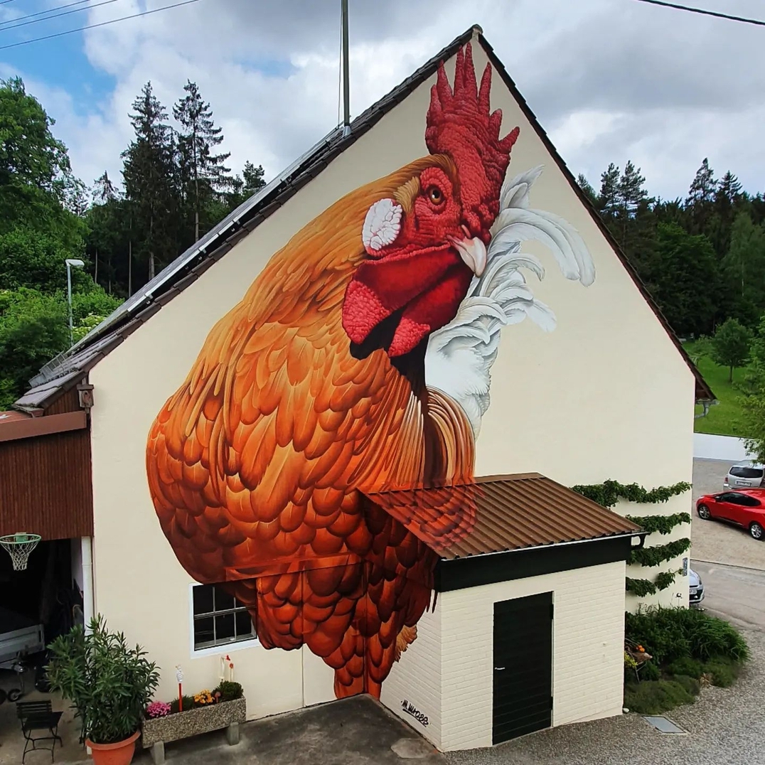 Matthias Mross @ Germany Matthias Mross @ Germany