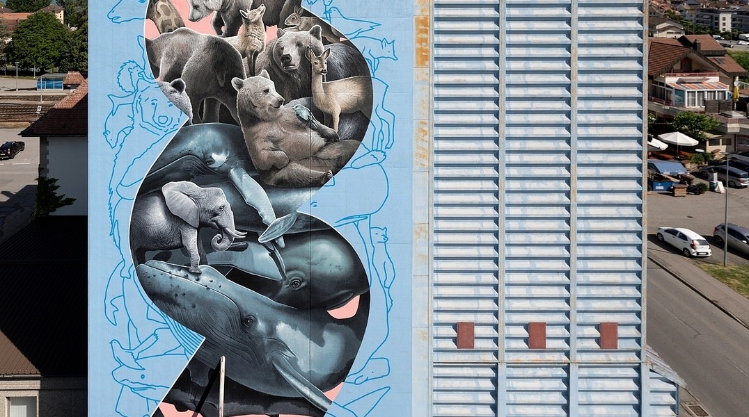 Nevercrew @ Estavayer-le-Lac, Switzerland