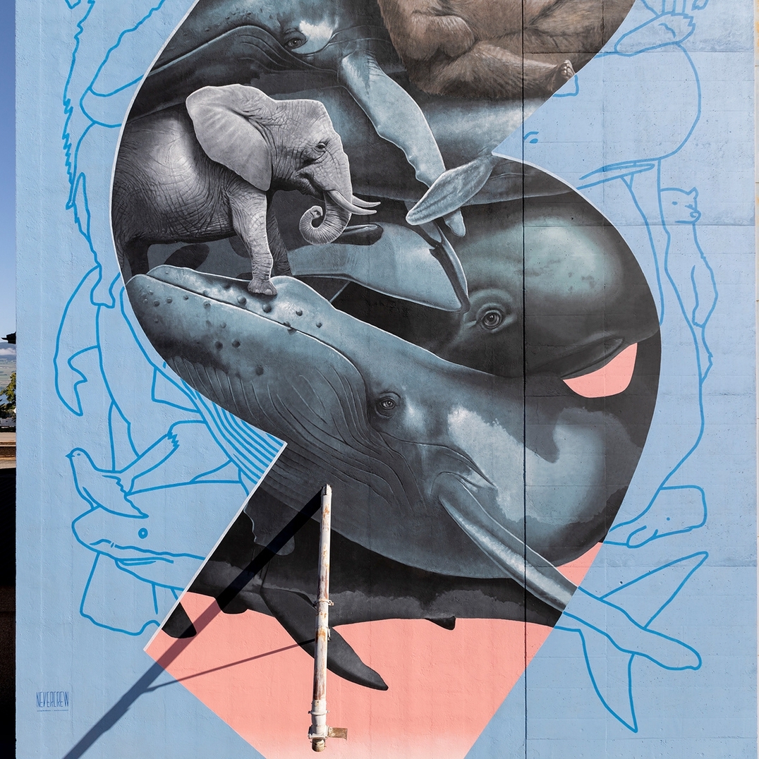 Nevercrew @ Estavayer-le-Lac, Switzerland