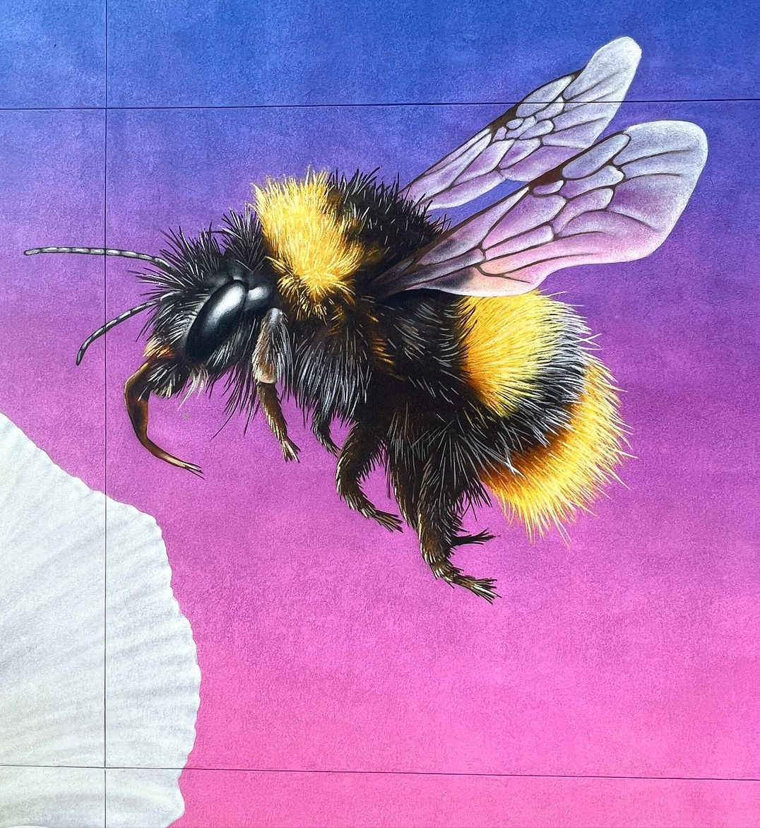 Thomas Turner @ Salt Lake City, Utah, USA