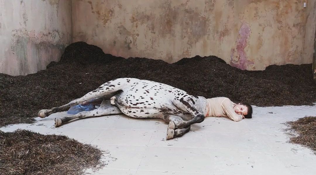 Venice Art Biennale 2022 - Danish Pavilion by Uffe Isolotto