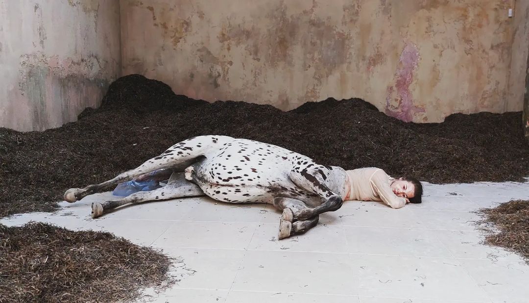 Venice Art Biennale 2022 - Danish Pavilion by Uffe Isolotto