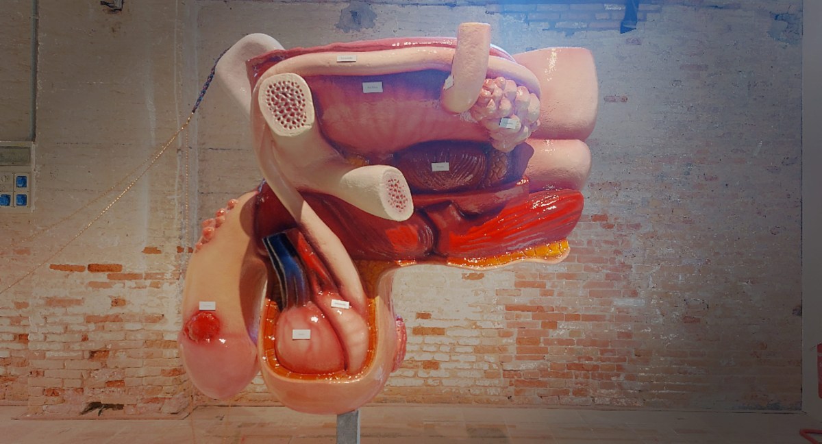 Venice Art Biennale 2022