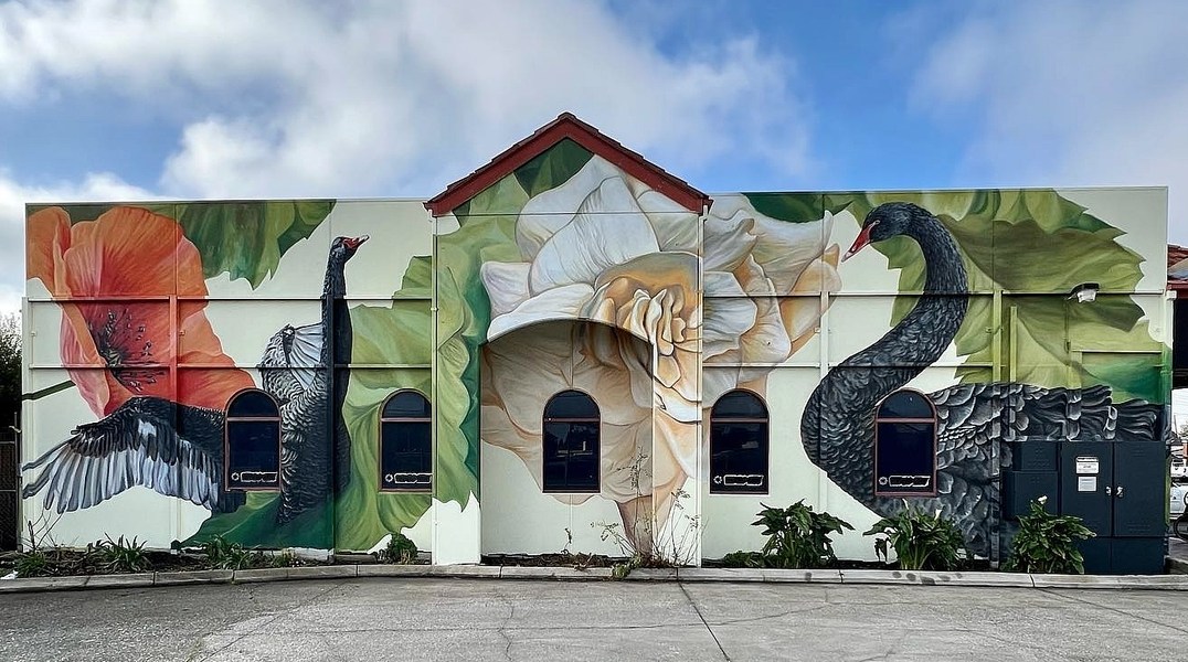 Amanda Newman + Pounce Murals @ Melbourne, Australia
