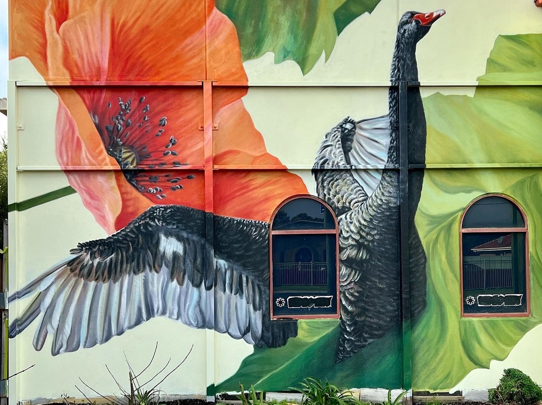 Amanda Newman + Pounce Murals @ Melbourne, Australia