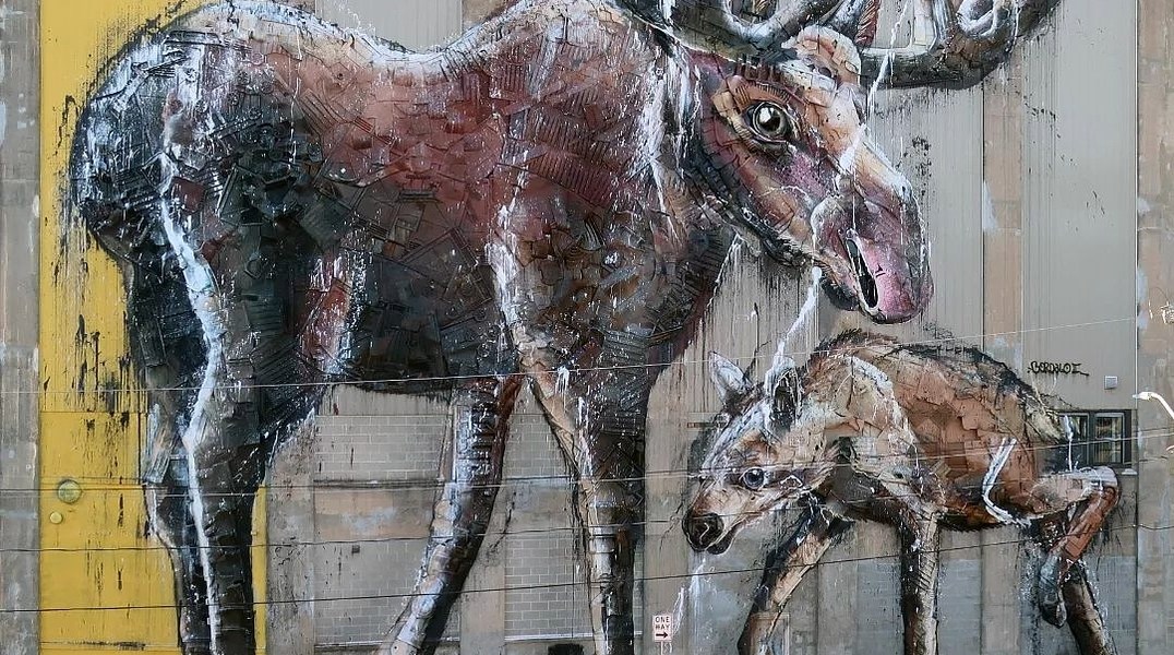 Bordalo II @ Holyoke, Massachusetts, USA