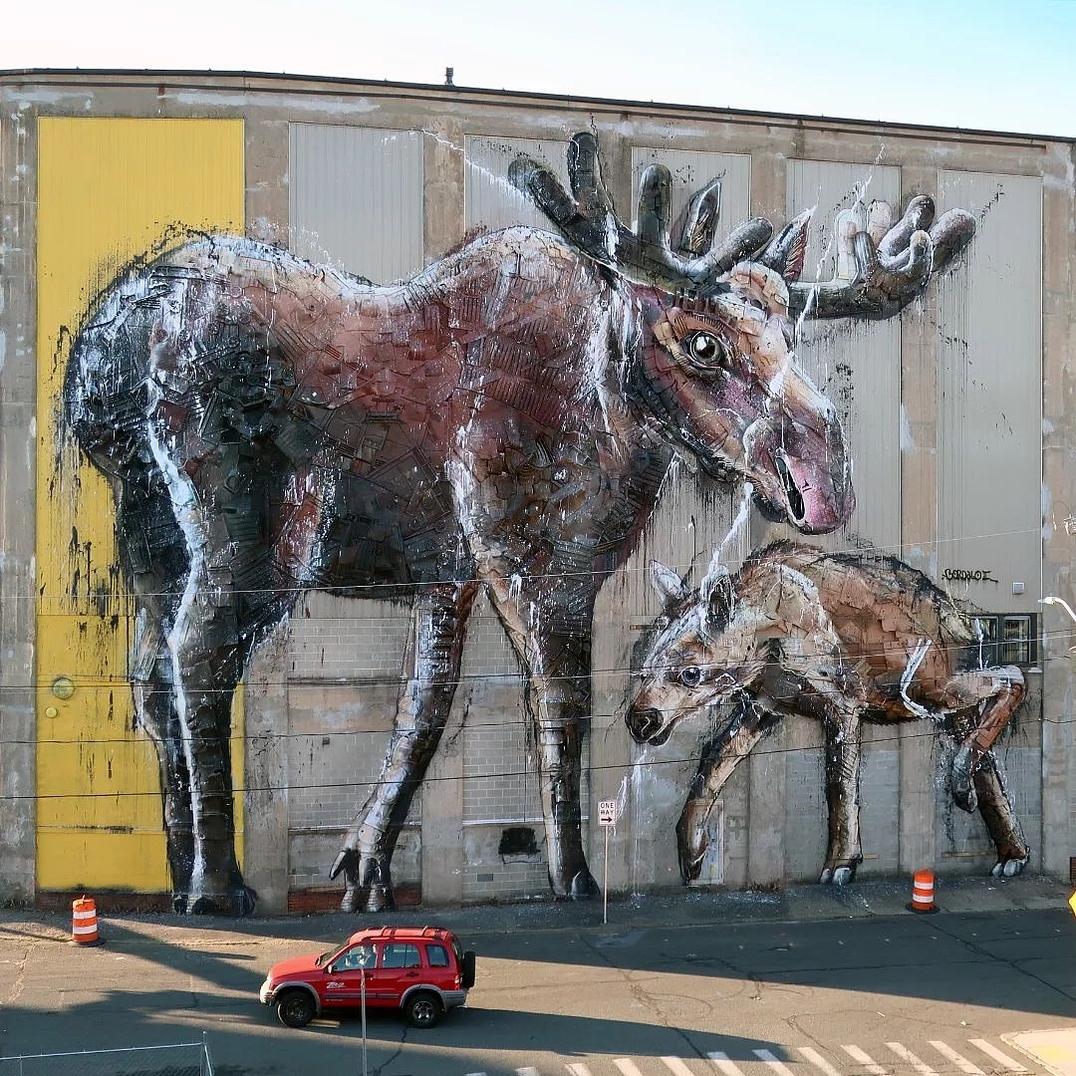 Bordalo II @ Holyoke, Massachusetts, USA