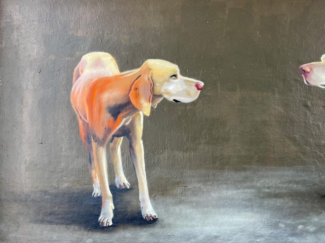 Caligr Oner @ Copenhagen, Denmark