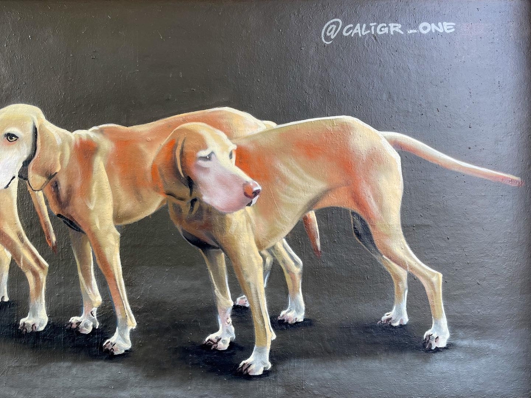 Caligr Oner @ Copenhagen, Denmark