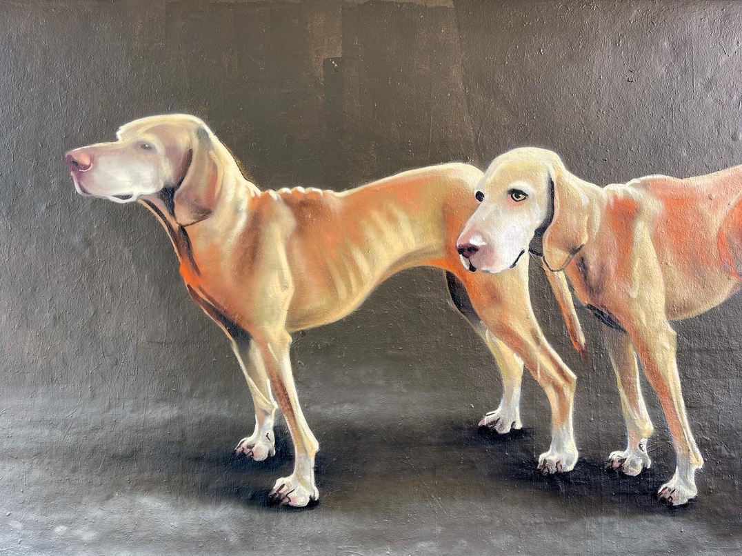 Caligr Oner @ Copenhagen, Denmark