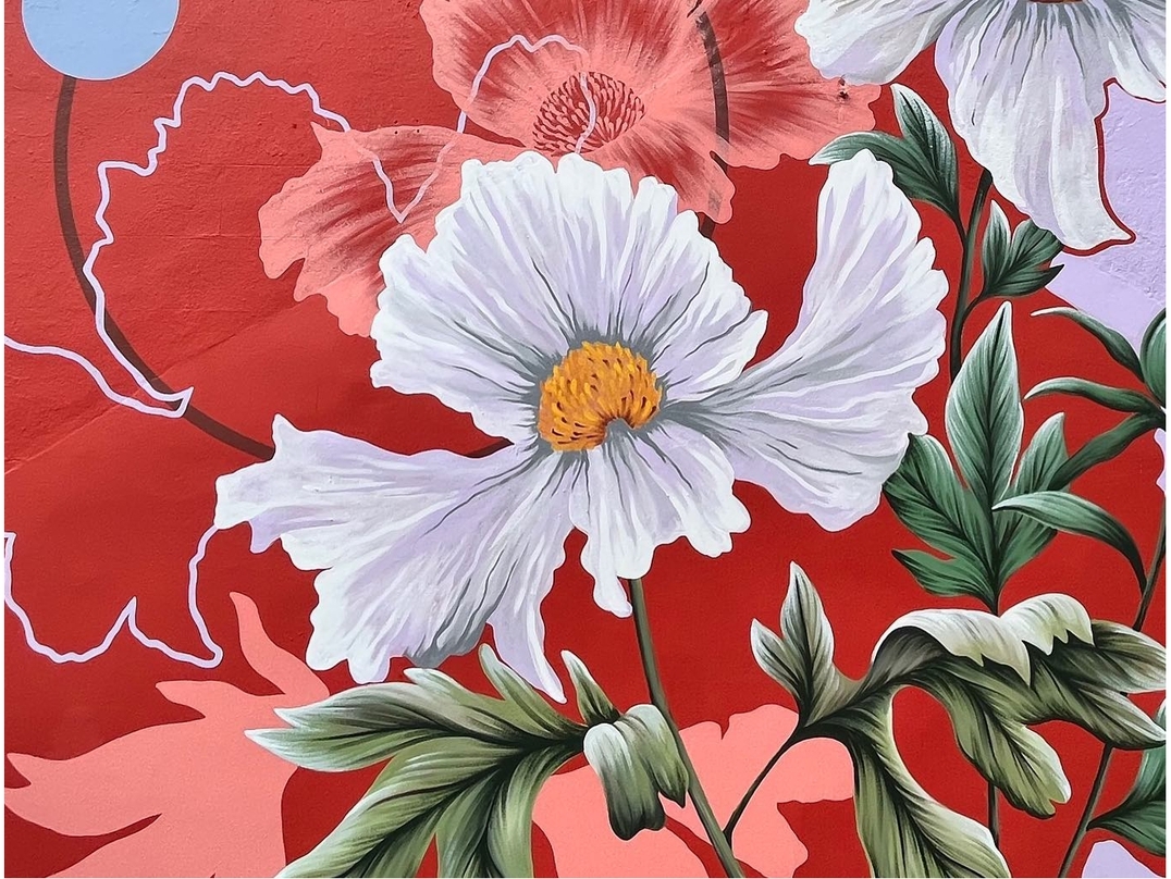 Ciclope @ Dundalk, Ireland