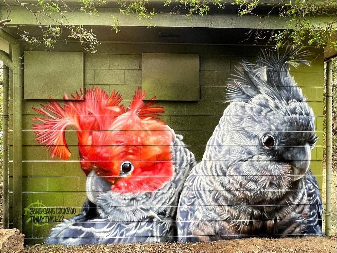 DVate @ Bundoora, Australia