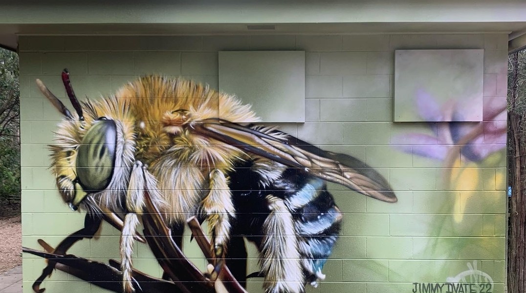 DVate @ Bundoora, Australia