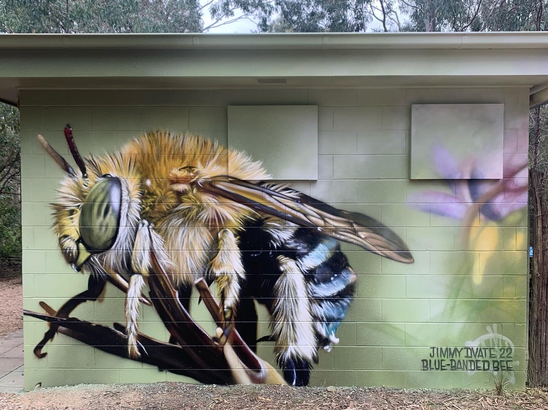 DVate @ Bundoora, Australia