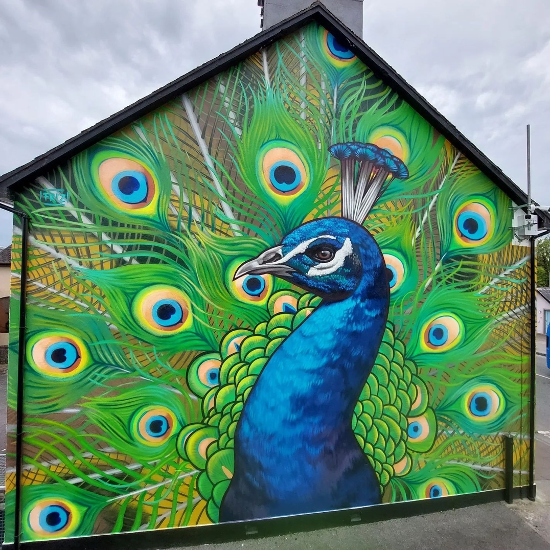 FRIZ @ Claremorris, Ireland