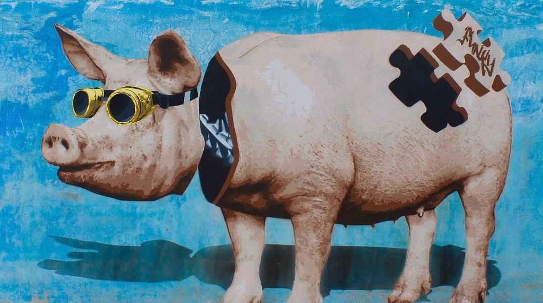 Funky Cook @ San Miguel Tlaixpan, Mexico