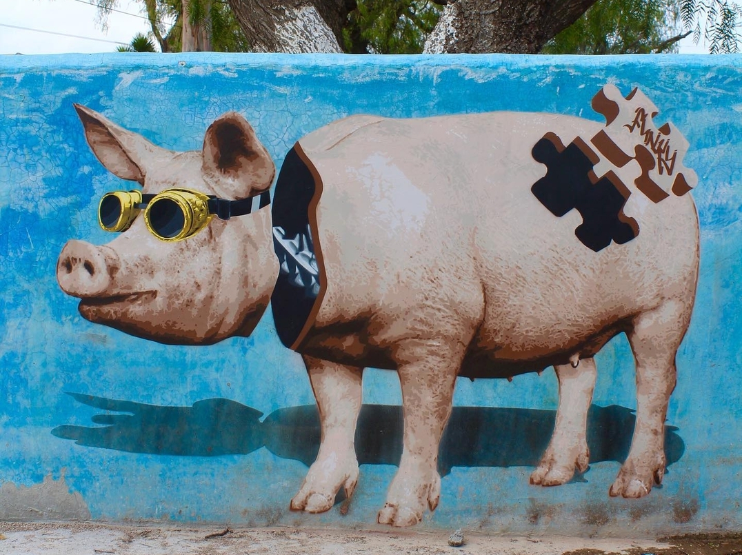 Funky Cook @ San Miguel Tlaixpan, Mexico