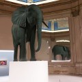 Venice Art Biennale 2022 – “Elephant” by Katharina Fritsch