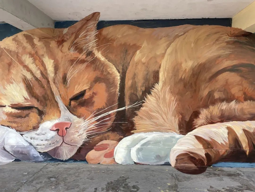 Marko Franco Domenak @ Lima, Peru