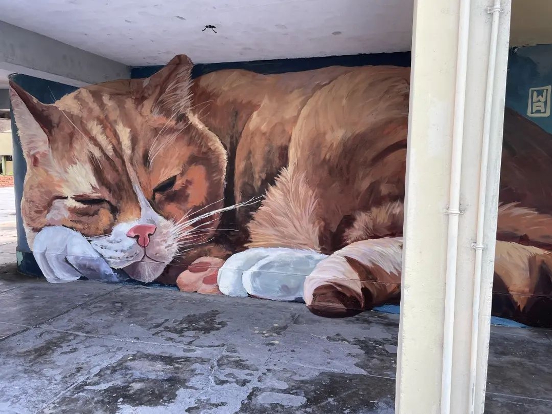 Marko Franco Domenak @ Lima, Peru