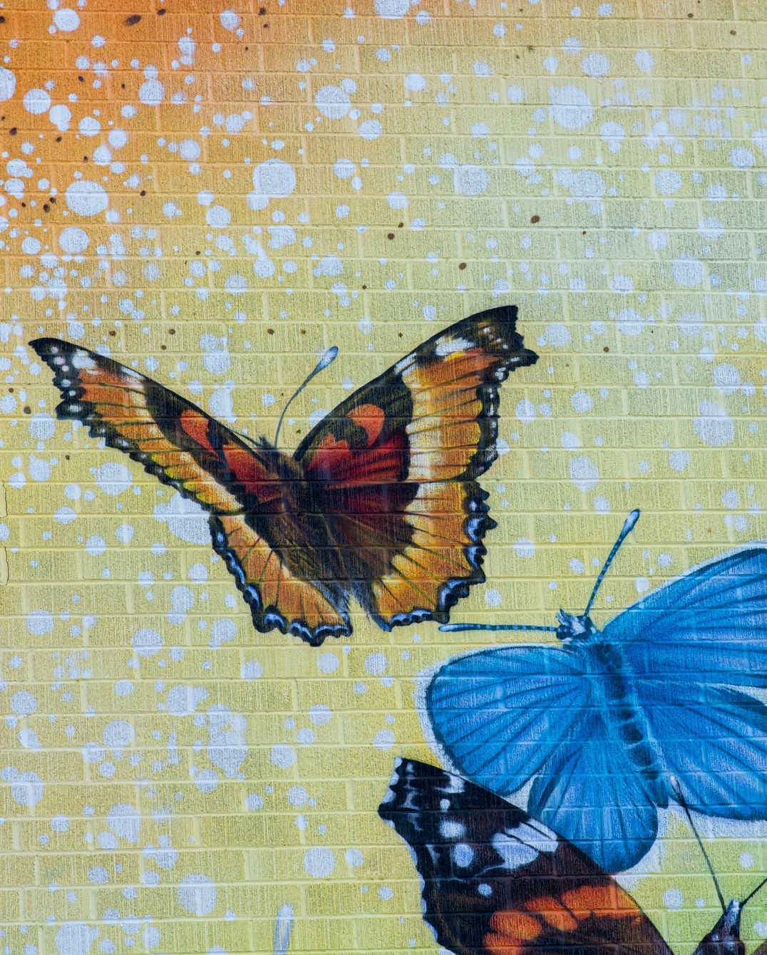 Nick Sweetman @ Edmunston, Canada