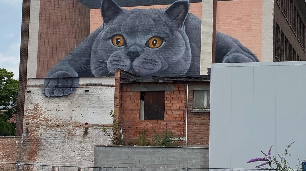 Smok @ Antwerp, Belgium