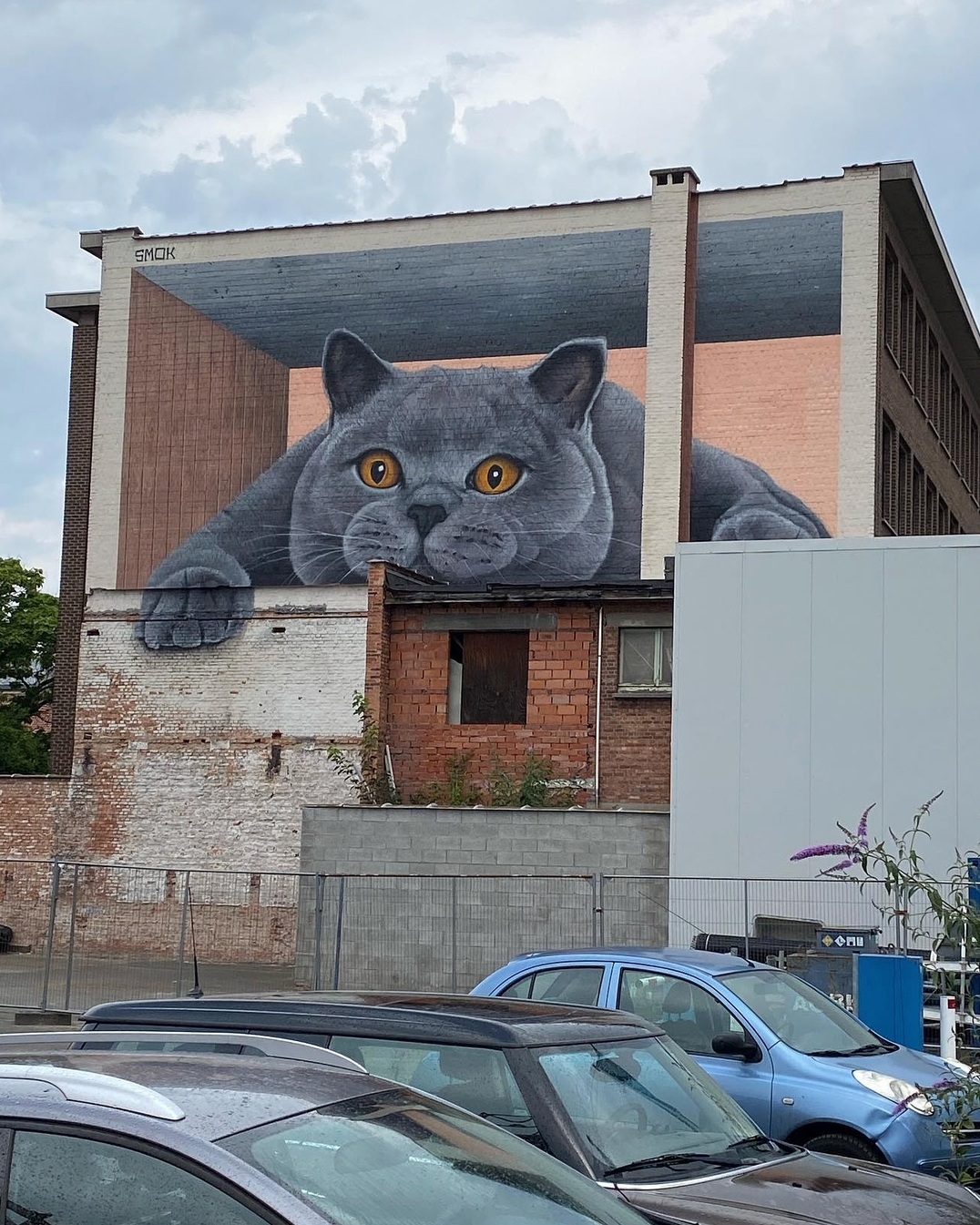 Smok @ Antwerp, Belgium