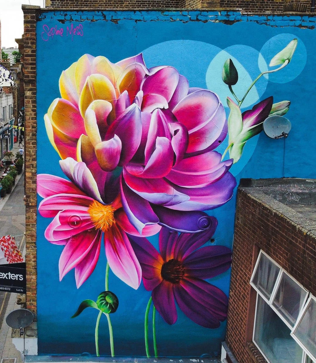 Sophie Mess @ London, UK