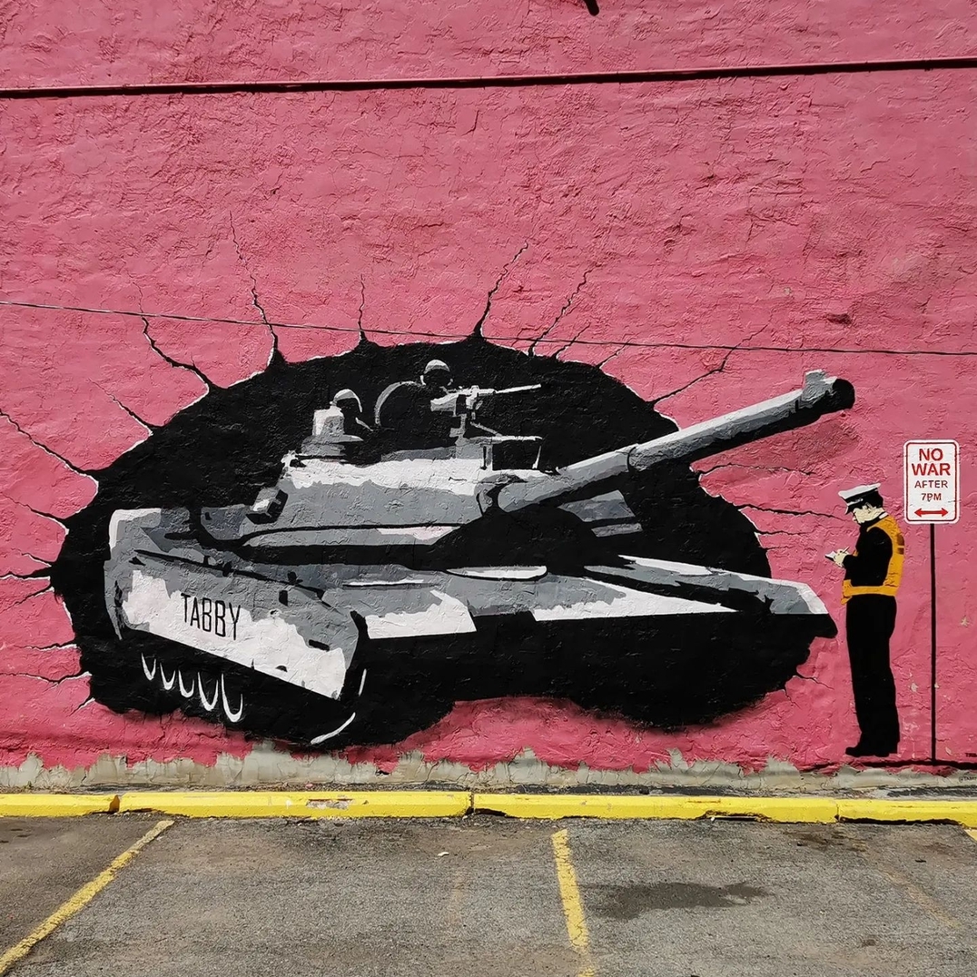 Tabby @ Buffalo, New York, USA