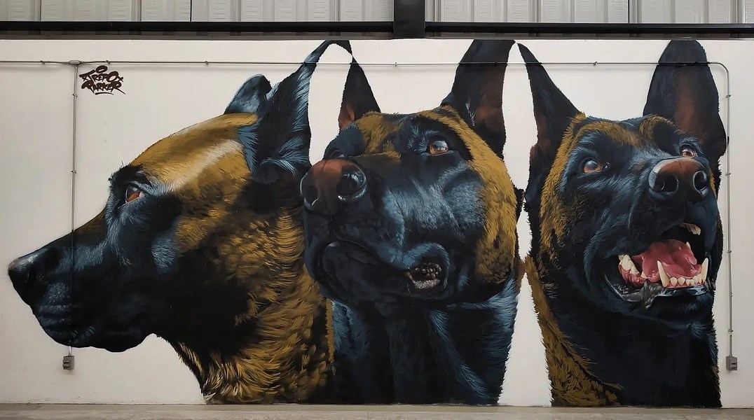 Trepo Parker @ Mexico City, Mexico