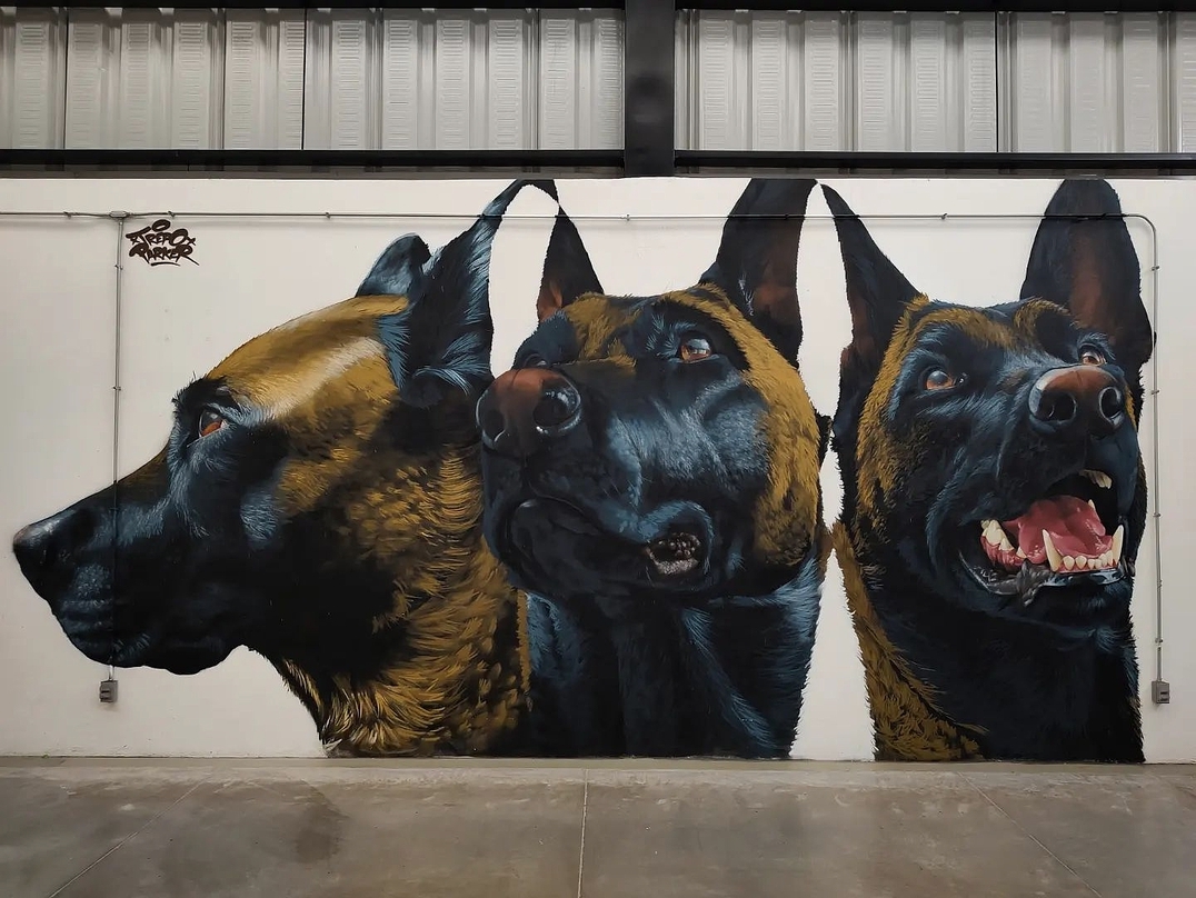 Trepo Parker @ Mexico City, Mexico