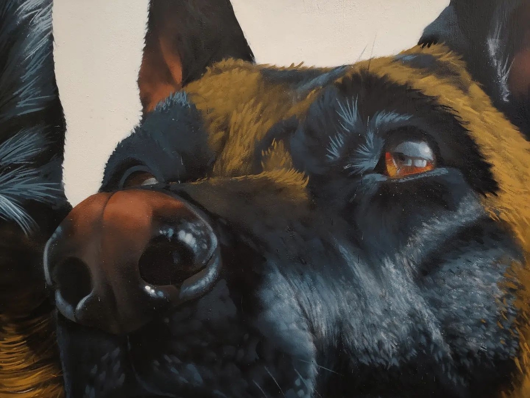 Trepo Parker @ Mexico City, Mexico